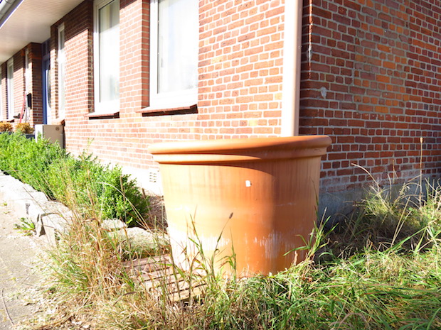 Eines meiner berühmten Schnäppchen