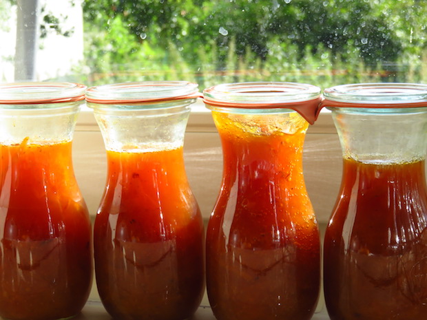 mirabellen-vanille-sauce