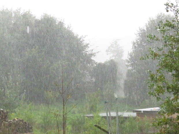 Und das war der Garten heute: Starkregen und Sturm. Wie gut, dass wir die warmen Wochen hatten. Wie gut!