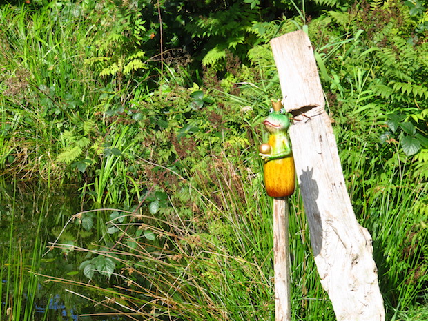 Schandfleck: am Teich ist's verwildert. Mehr als gut ist.