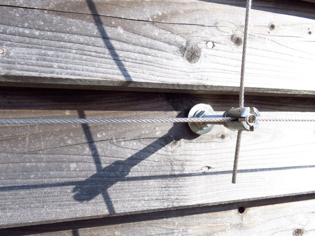 Detail Seilsystem vom Spalier