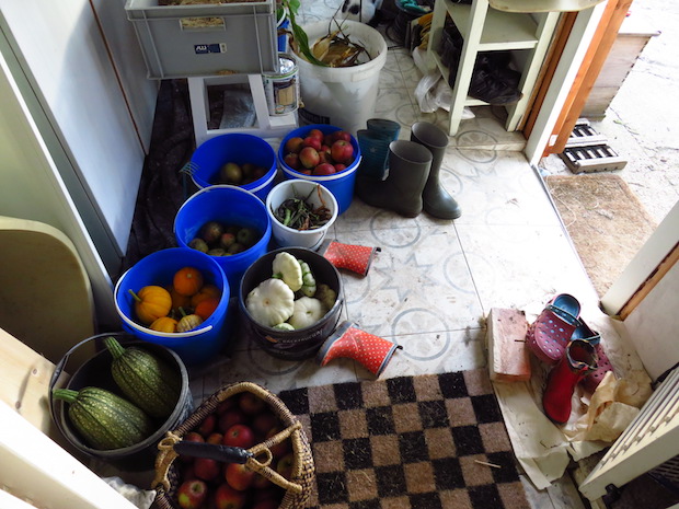 Stau im Windfang, so schmutzig und mit Plastikeimern gilt das auch als Schandfleck oder? #honest_gardening