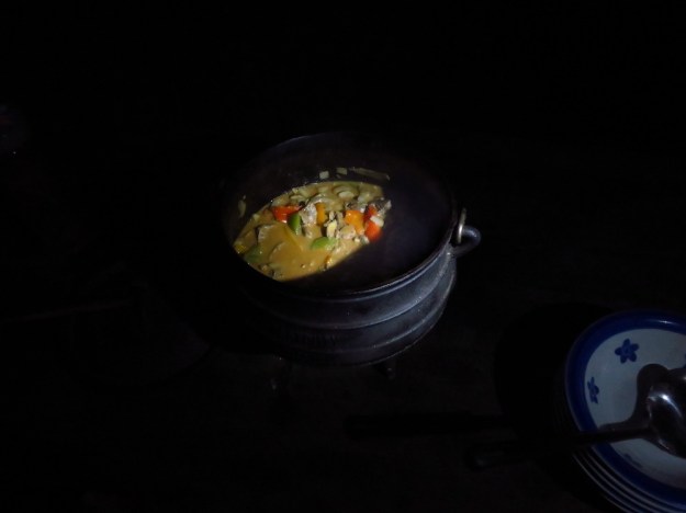 Reh, Zwiebeln, Paprika und eine Sauce aus pürierten Tomaten und Estragon - DAS war exquisit!