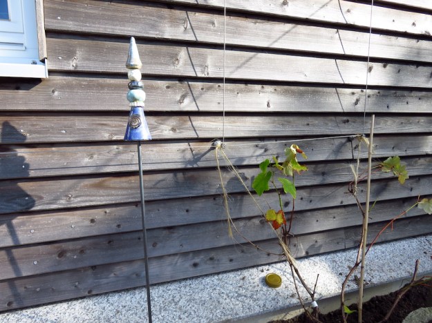 Schwarze Erdbeertraube im Hochbeet an der Hauswand