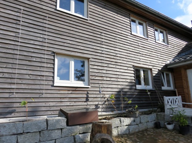 Spalier vor SW-Wand mit Hochbeet und Trockenmauer