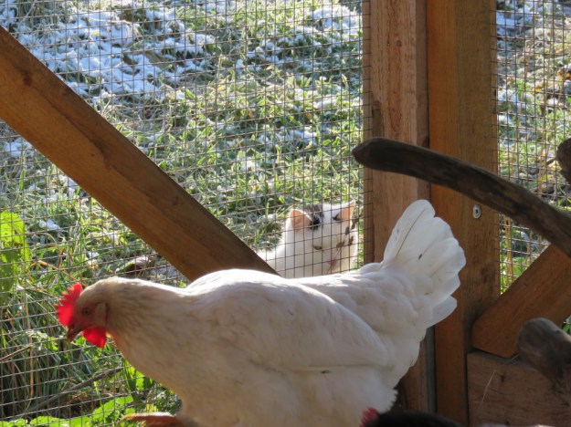 Drinnen und draussen