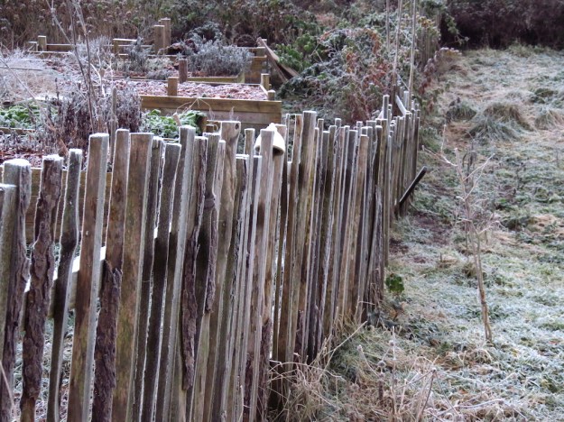 Selbst gebauter Staketenzaun und Blick auf die Hochbeete