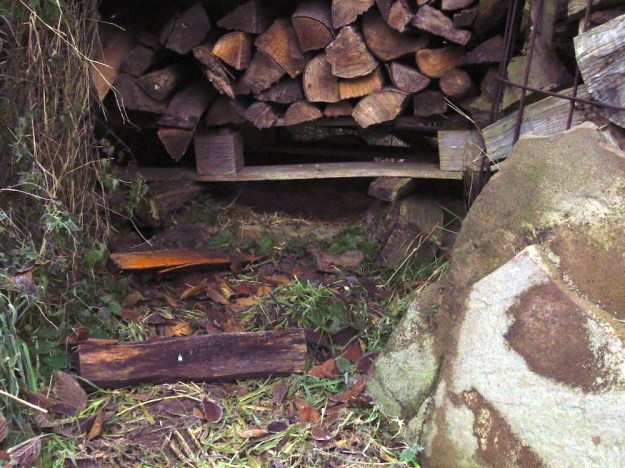 Unterschlupf unter dem Holzstoß, hier haben schon Enten gebrütet und auch Kater Heinzi stellt sich hier unter