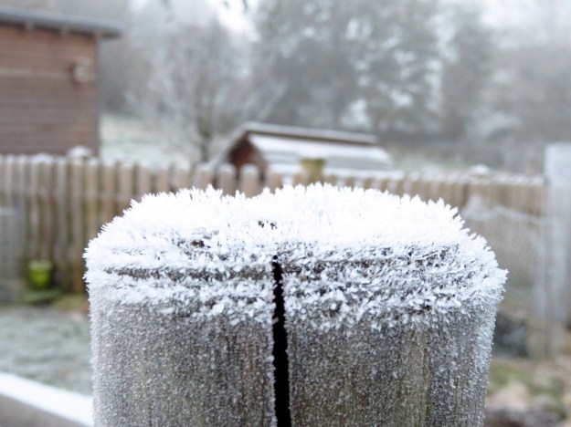 Eiskristalle wachsen