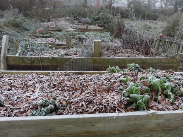 Schlafende Hochbeete