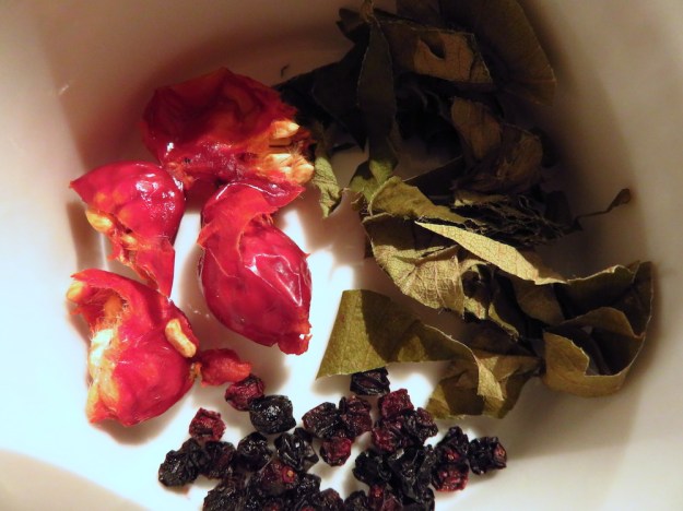 Hagebutten, Holunderbeeren und Erdbeerblätter