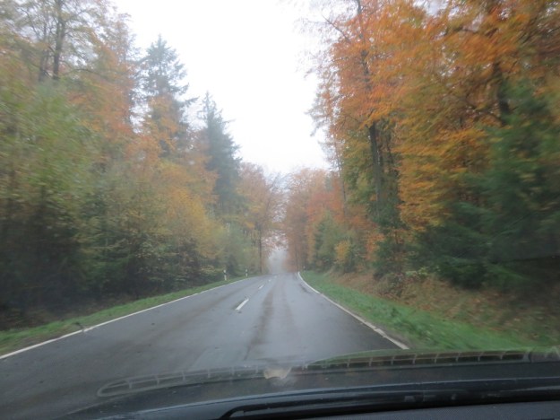Ein Kombi voller Tauschwaren auf dem Weg zum Tauschtreffen durch den Sachsenwald