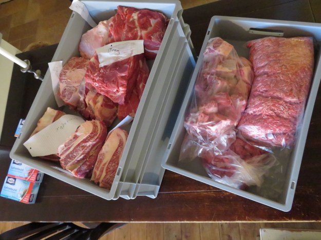 Von der vorderen Hälfte