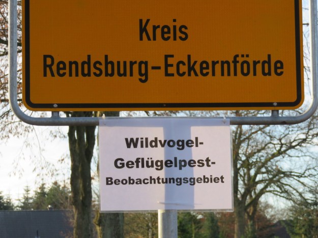 Wildvogel-Geflügelpest Beobachtungsgebiet