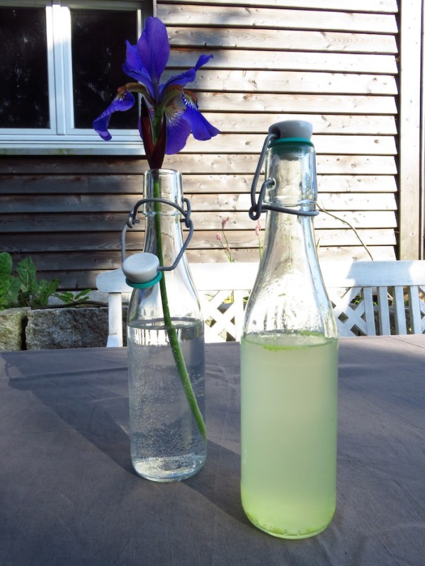 Fermentierter Holunderblütensekt 9 Monate in der Flasche gereift