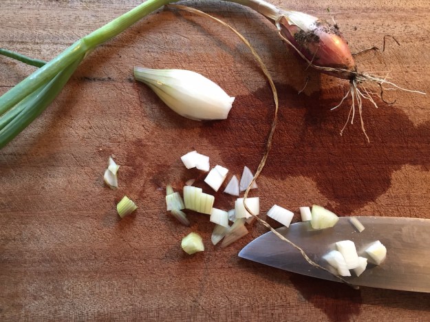 'Rossa lunga di Firenze'