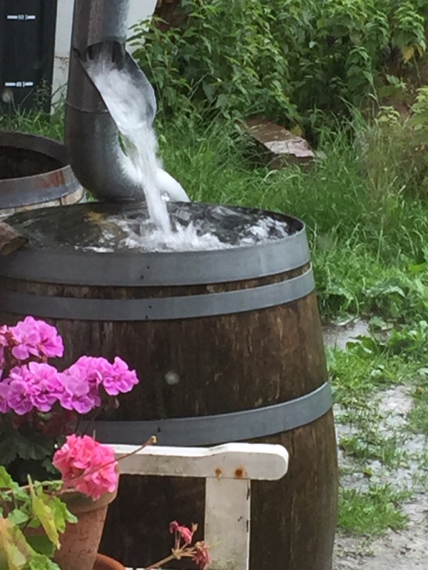 Ein hölzernes Fass, aus dem Wasser fließt, mit bunten Blumen im Vordergrund und grünem Hintergrund.