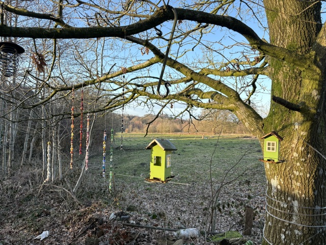 Ein Baum mit einem gelben Vogelhaus und bunten Futterspendern, umgeben von einer ruhigen Landschaft.
