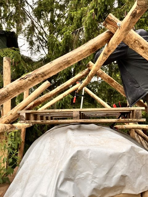 Bau eines Holzrahmens mit Baumstämmen und einer Palette auf einem Dach.