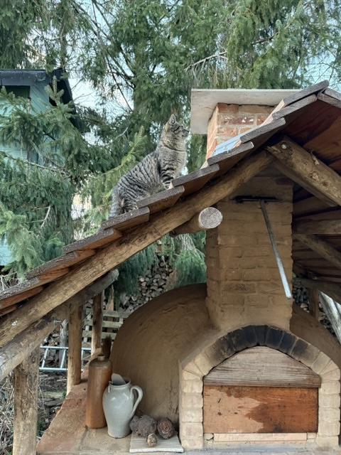 Eine Katze sitzt auf dem Dach eines Holzofens, umgeben von Bäumen und Holzstapeln.
